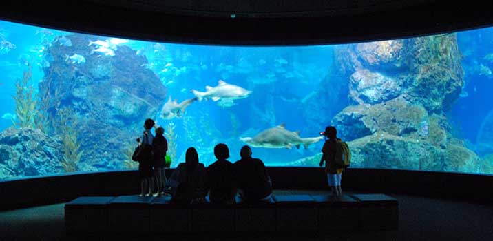 FIRST OCEANARIUM IN MOSCOW