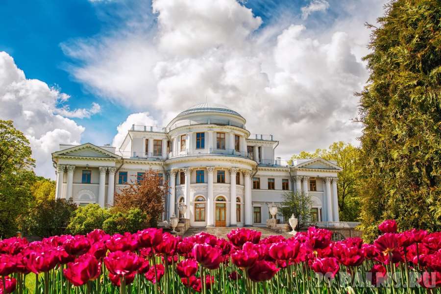 Elaginoostrovsky palace-museum is open to the first visitors 